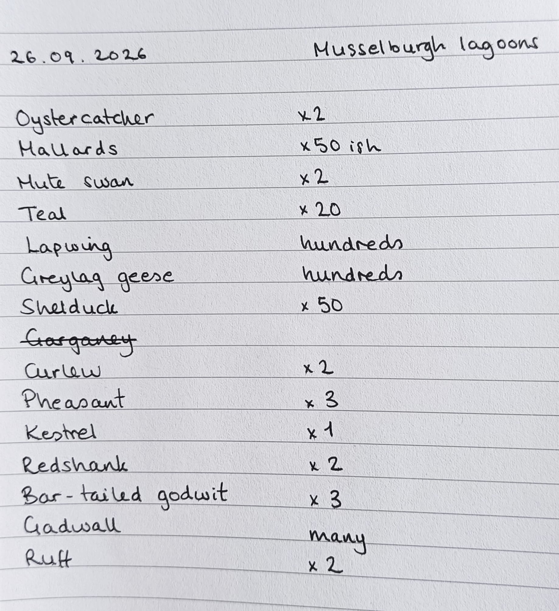 Birdwatching list
