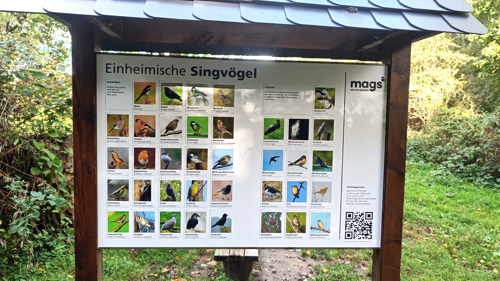 Schloss Rheydt, info board